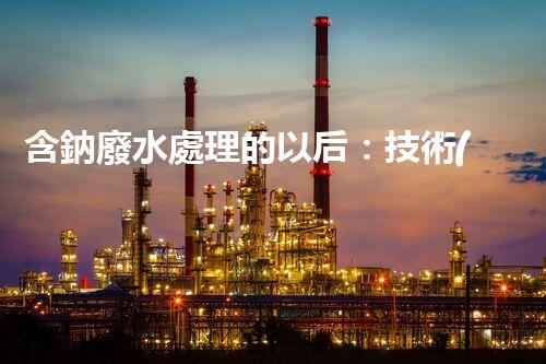 含鈉廢水處理的以后：技術(shù)革新與環(huán)保挑戰(zhàn)！